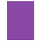 Aperturee - Violet Purple Video Studio Solid Photo Backdrop